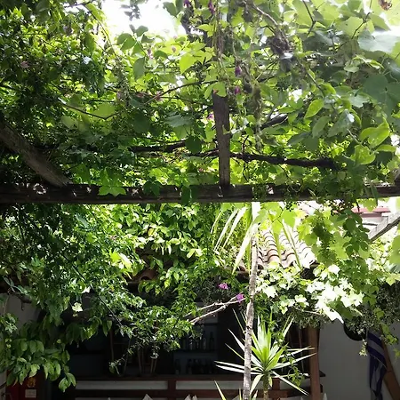 Ξενοδοχείο Hellinikon Ουρανούπολη